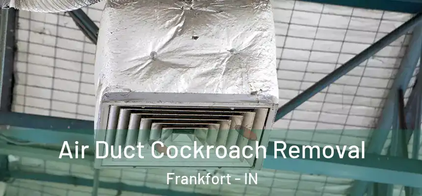 Air Duct Cockroach Removal Frankfort - IN