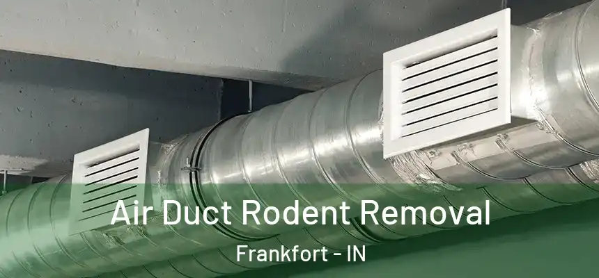 Air Duct Rodent Removal Frankfort - IN