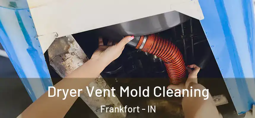 Dryer Vent Mold Cleaning Frankfort - IN
