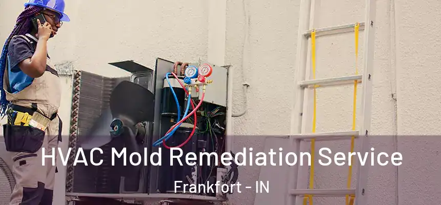  HVAC Mold Remediation Service Frankfort - IN
