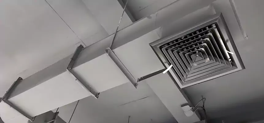 Our Pest Removal From Ducts Services in Frankfort, IN