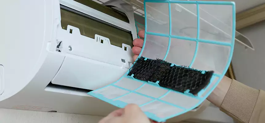 Gentle Ductwork Odor-Control Pet Dander Duct Cleaning in Frankfort, IN