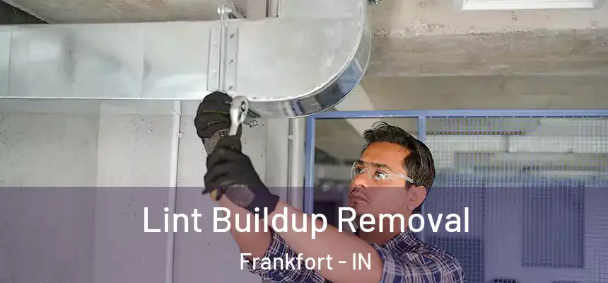 Lint Buildup Removal Frankfort - IN