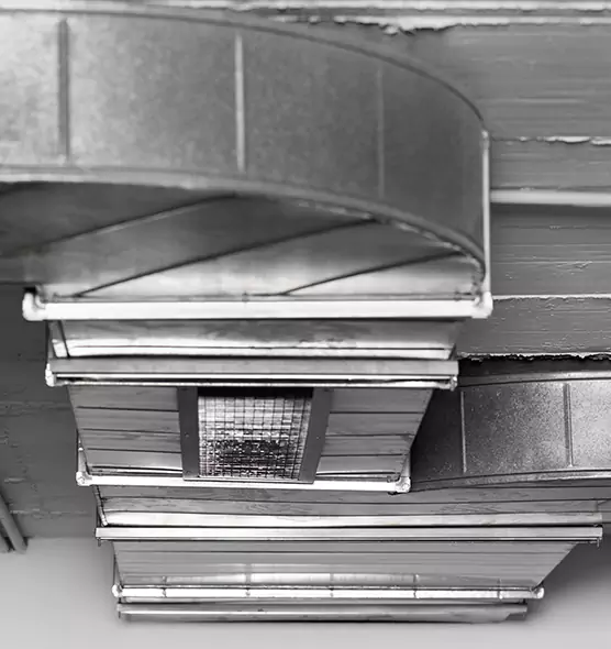 Professional Air Duct Pest Removal in Frankfort, IN