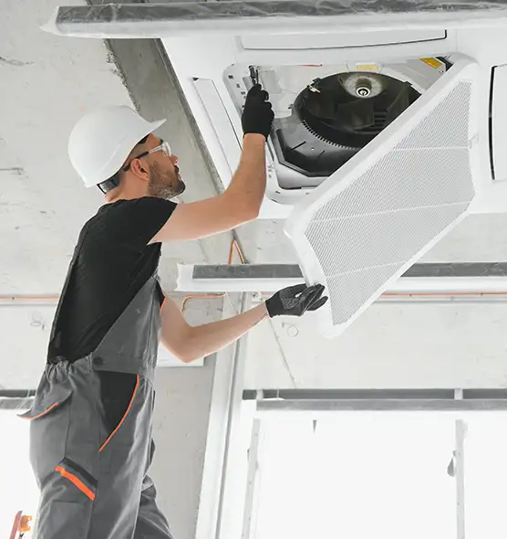 About Air Duct Rodent Removal in Frankfort, IN