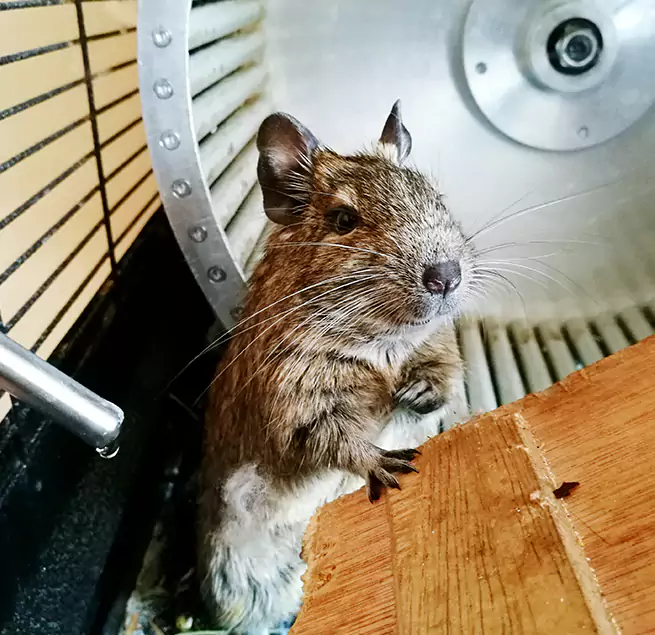 Why Homeowners & Businesses Trust Us Frankfort, IN?